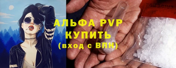 гашик Белоозёрский