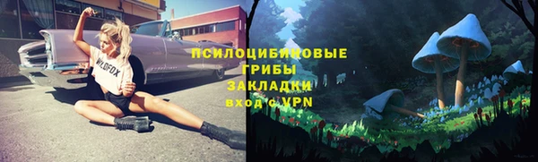 гашик Белоозёрский