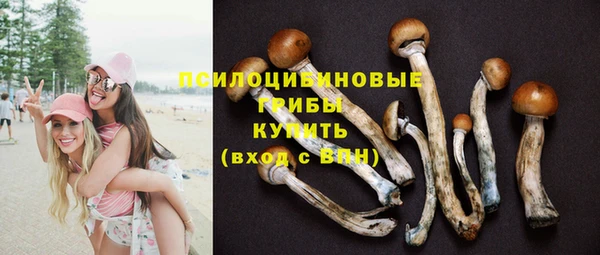 соль ск Балахна