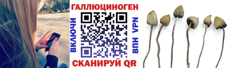 Галлюциногенные грибы Cubensis  Кудымкар 