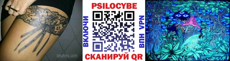 Галлюциногенные грибы Psilocybe Кудымкар